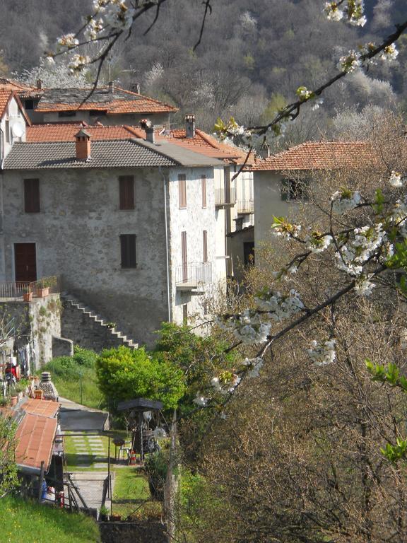 Casa Ginevra Apartment Plesio Exterior photo